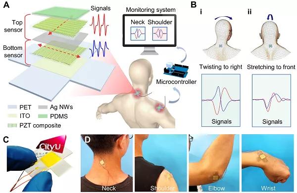 香港城大楊征保課題組Science子刊：一種新型柔性壓電陶瓷剪紙，用于預防關節(jié)疾病